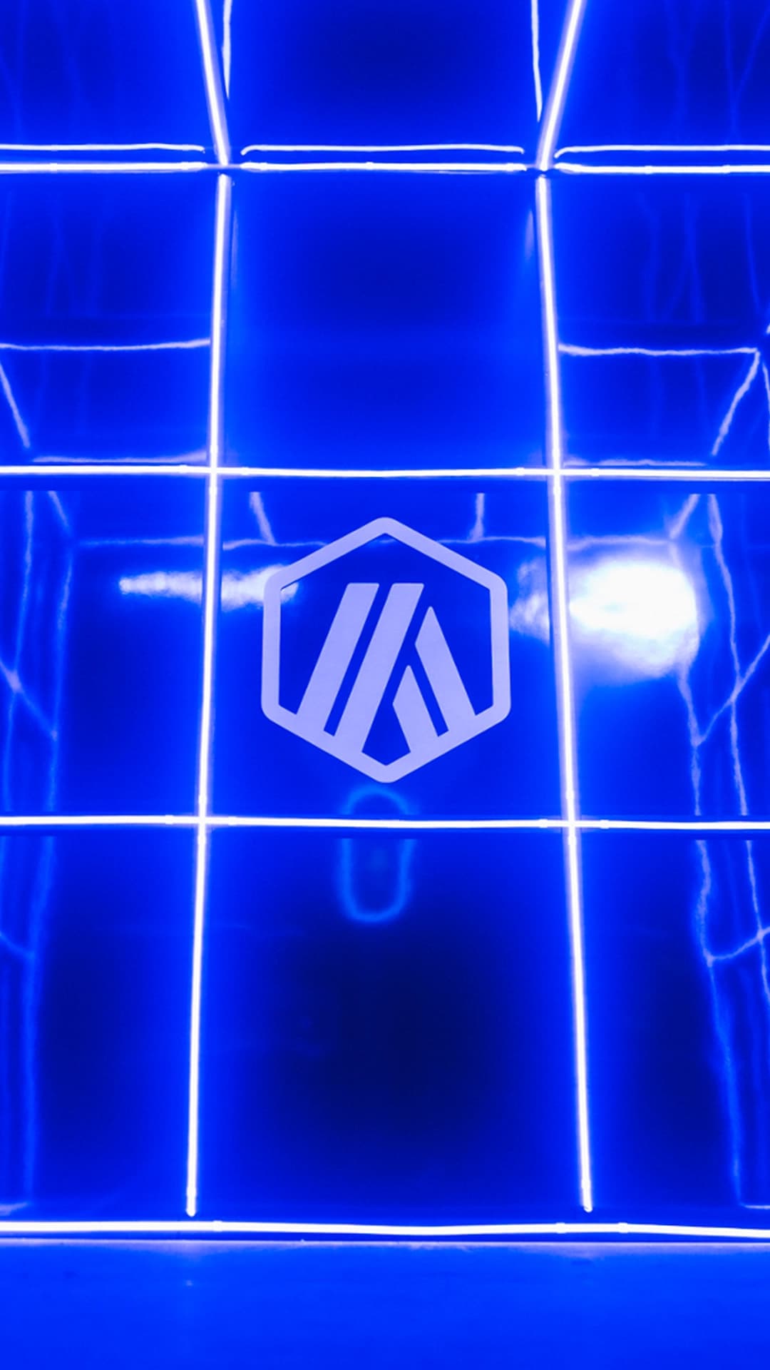 Arbitrum Crosschain Collider